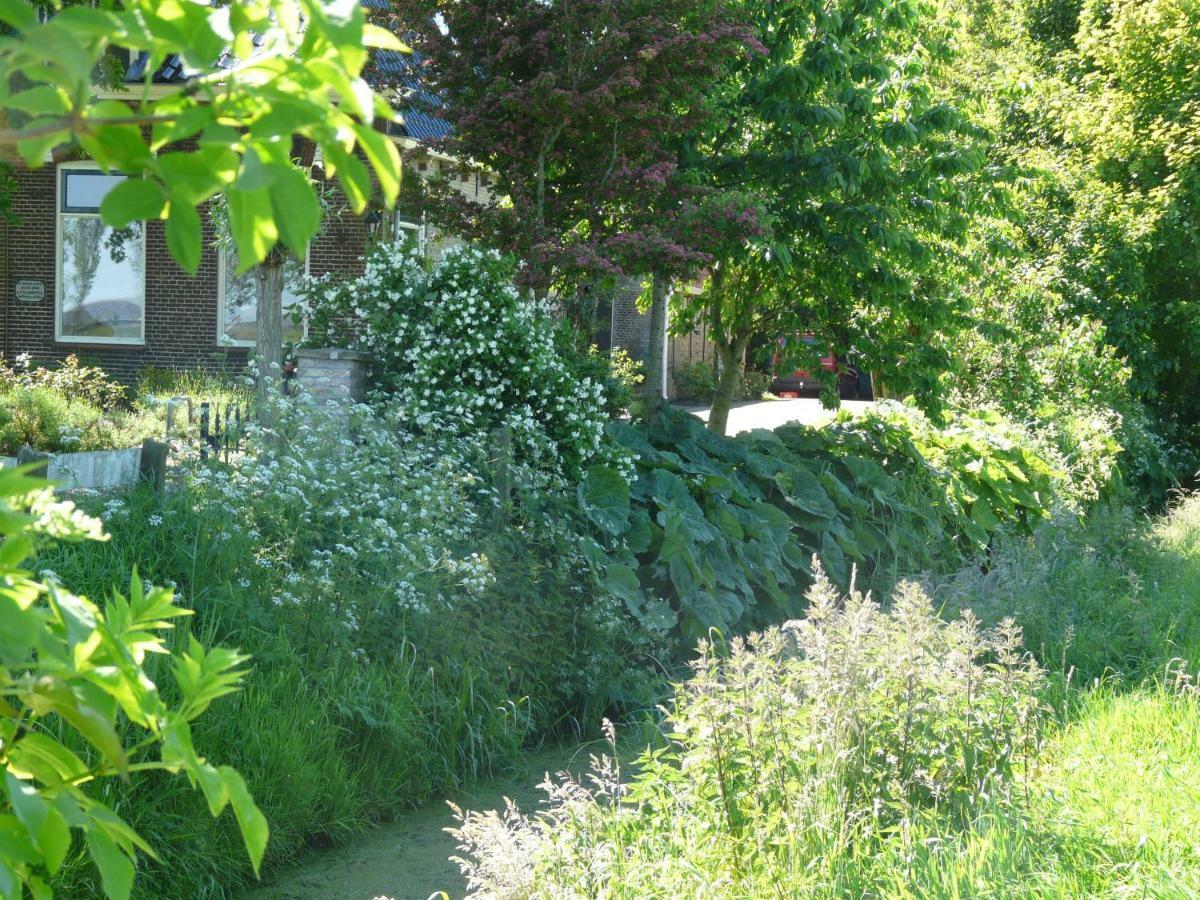 Bed and Breakfast De Wylgepleats à Jutrijp Extérieur photo